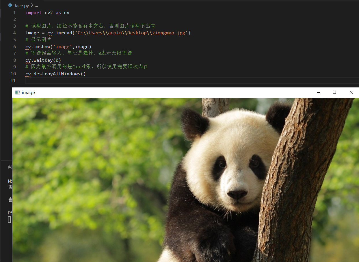 python-opencv-cv-imread-pony-csdn