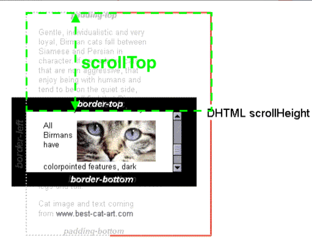 搞清楚网恋对象的真实年龄_offsettop和scrolltop的区别