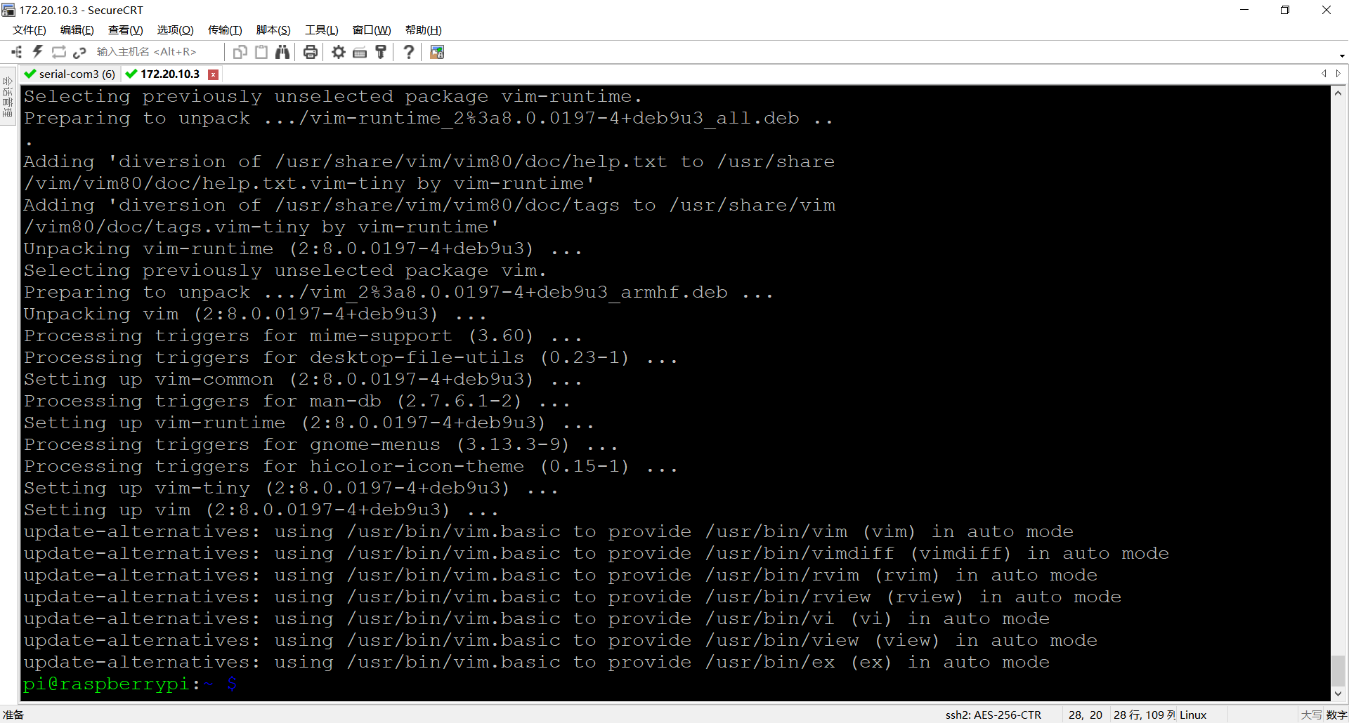 Raspberry Pop Update Vim - Programmer Sought