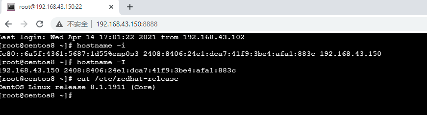 Web SSH 客户端工具