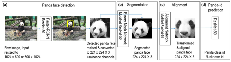 说明提出的熊猫人脸识别算法
