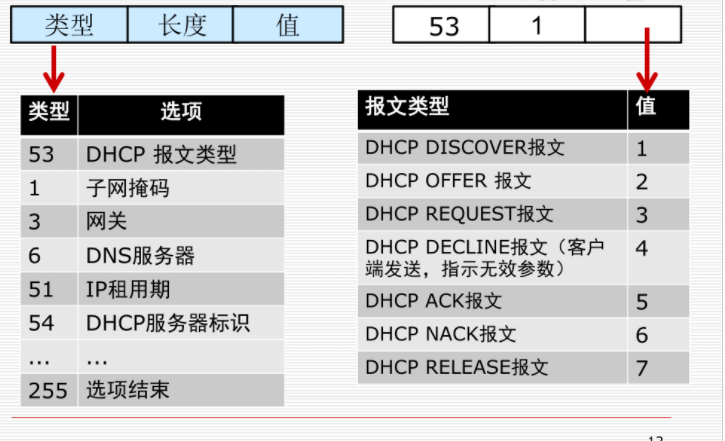 DHCP选项