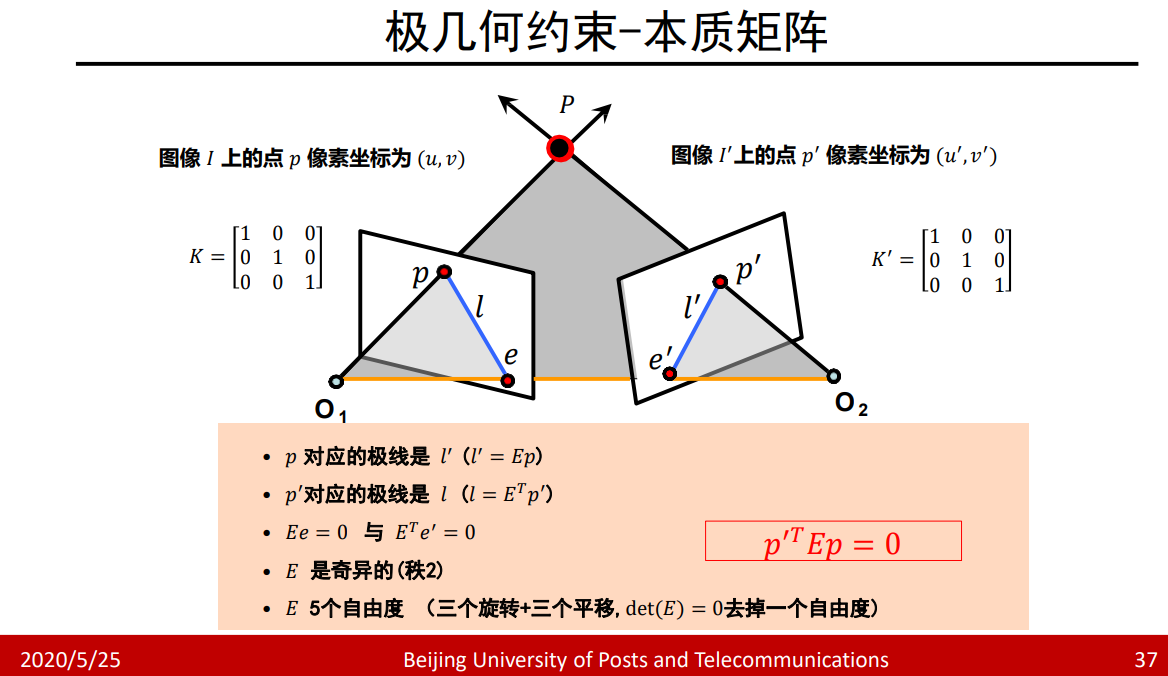 反对称矩阵的特征值及性质