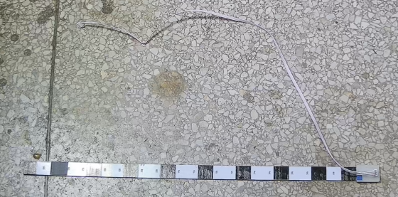 ▲ 来自于逐飞科技光电检测带