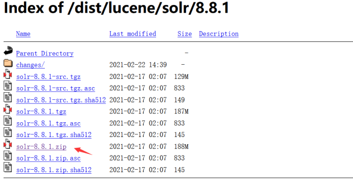 apache lucene cve