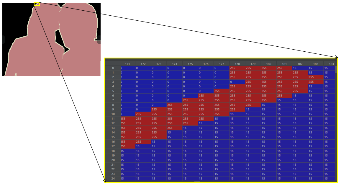 segmentation