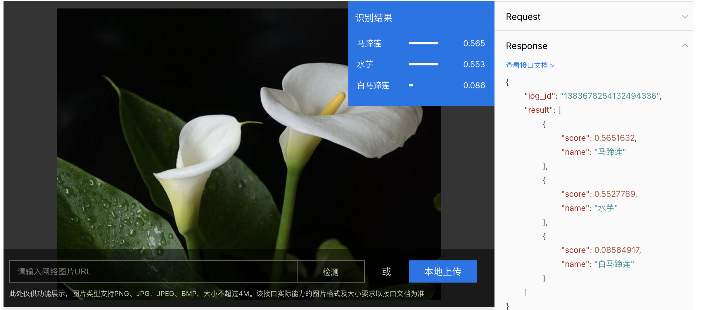 植物识别大比拼