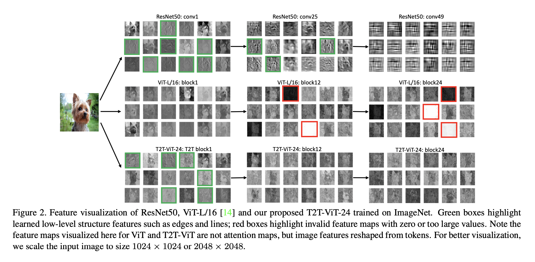 【解析】Token to Token Vision Transformer-CSDN博客