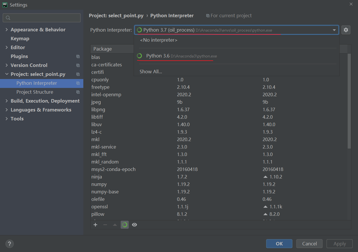 Pycharm Casting Environment and Sub-Environment Settings - Programmer ...