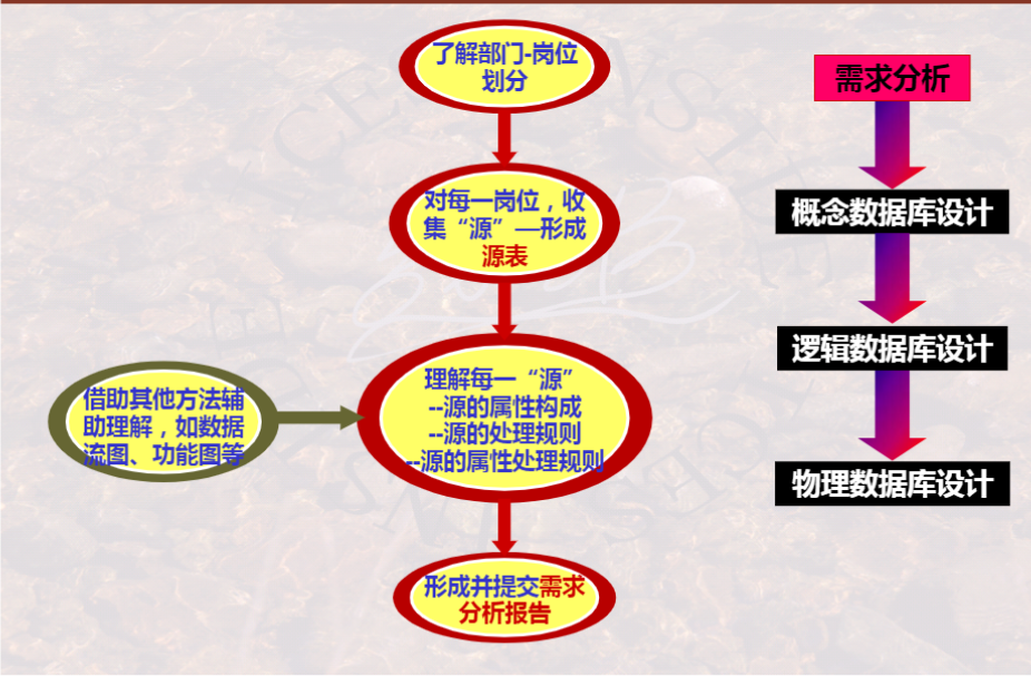 第十三讲数据库设计过程