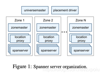 organization