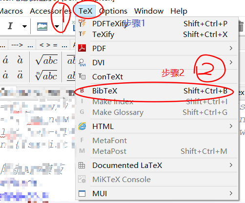 BibTex编译选择