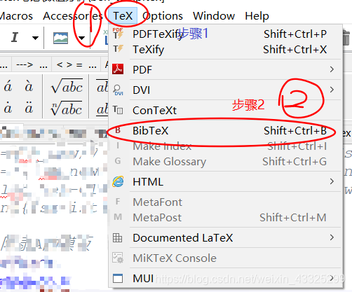 BibTex编译选择