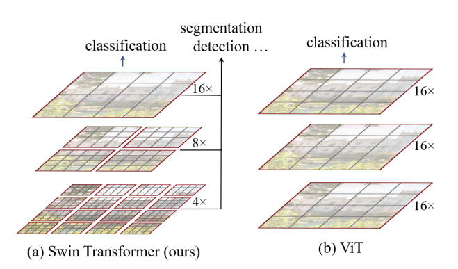 Swin-T和ViT