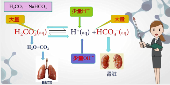 如果向溶液中增加碱,分解的氢氧根离子会和氢离子反应生成水,此时根据