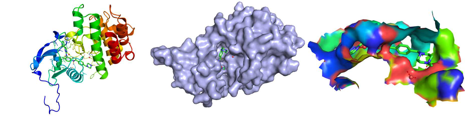 10 3d-qsar模型指导药物设计1.9模型等势图分析1.8模型参数分析1.