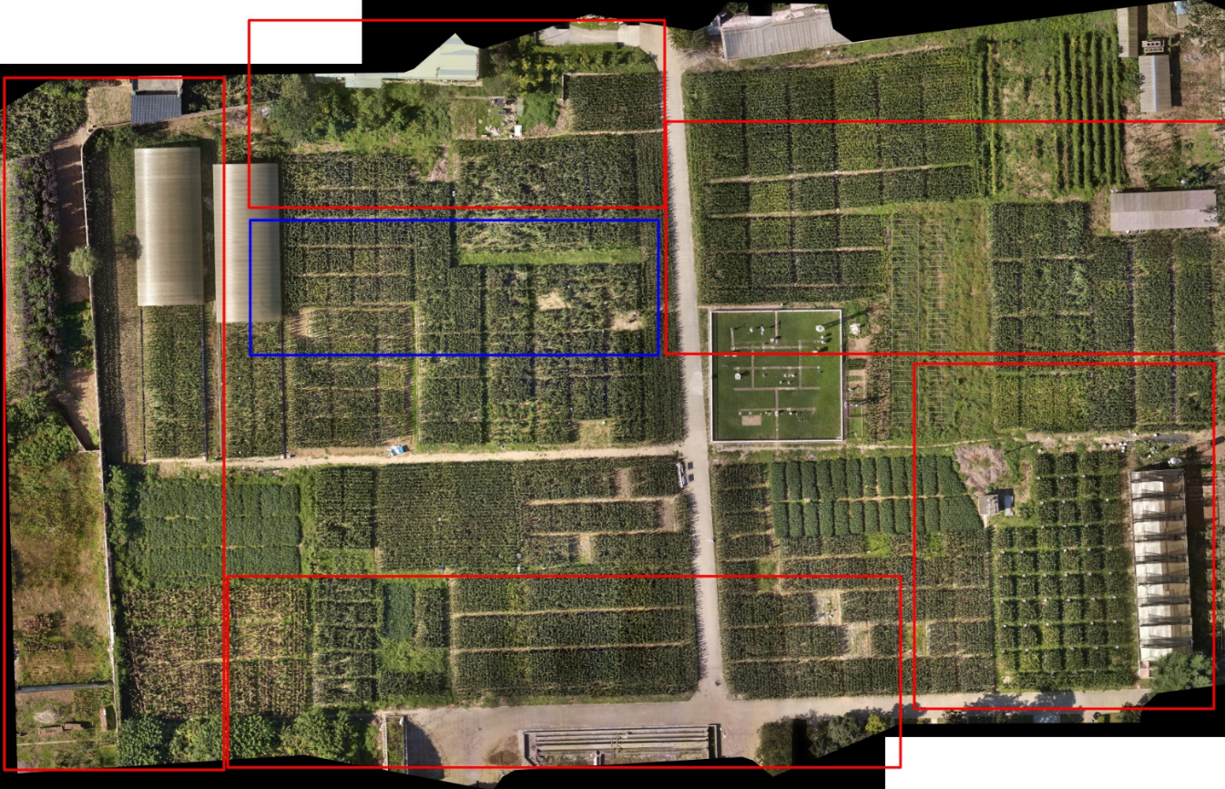 基于无人机遥感影像的农田作物识别八