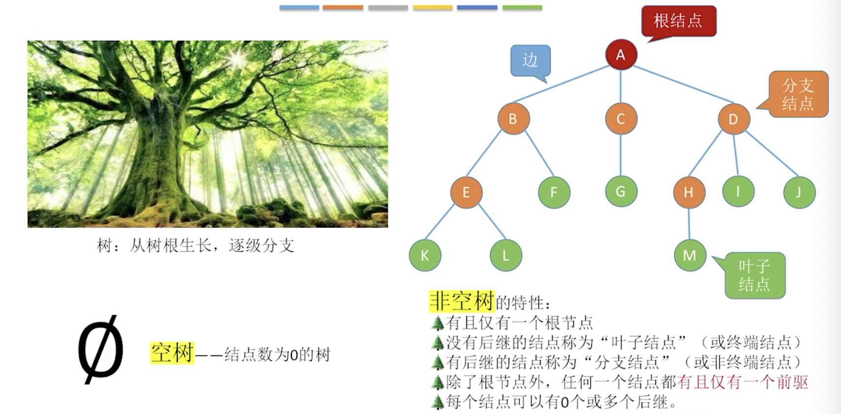 树的基本概念