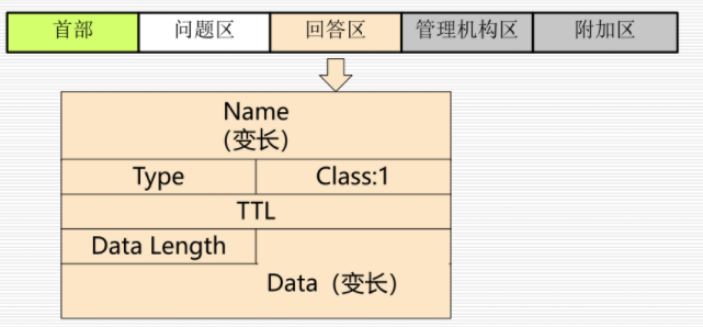 回答区