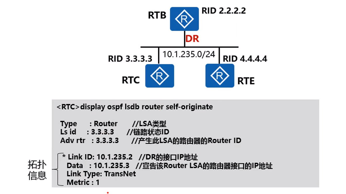 1.2.1 Router-LSA_router lsa-CSDN博客