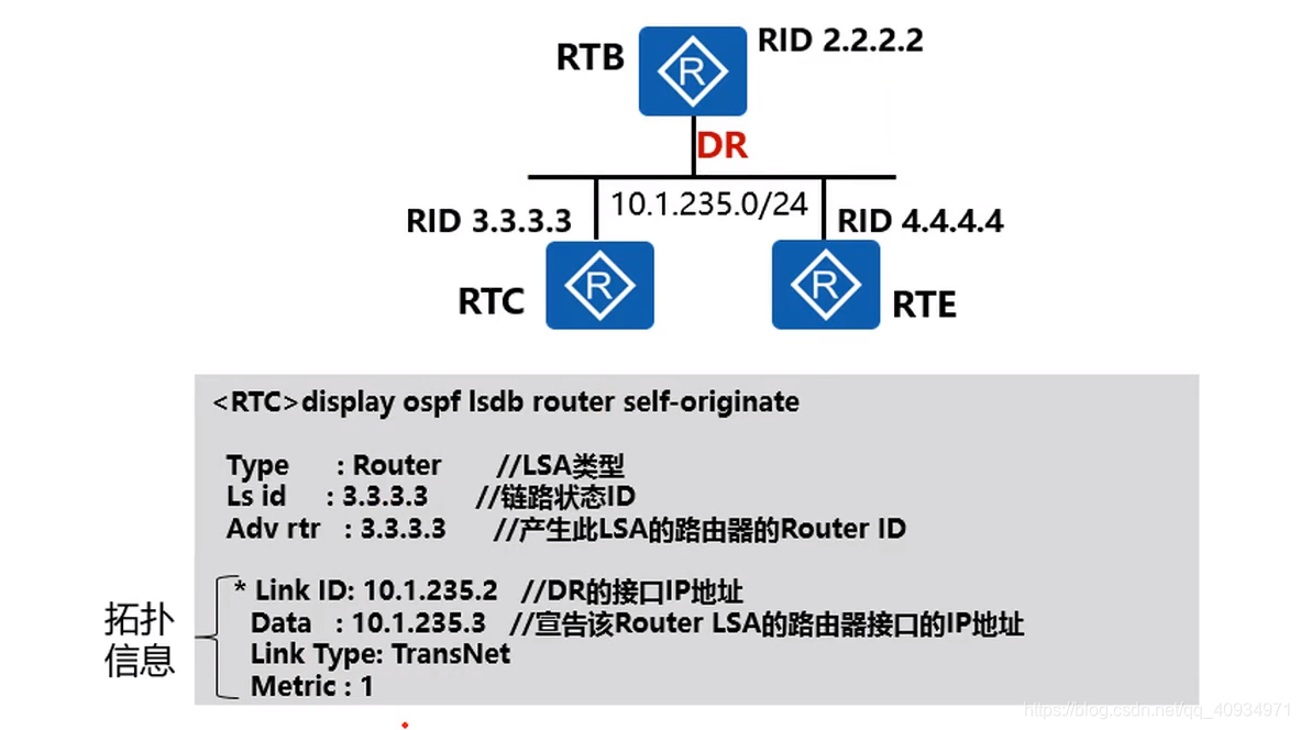 1.2.1 Router-LSA_router lsa-CSDN博客