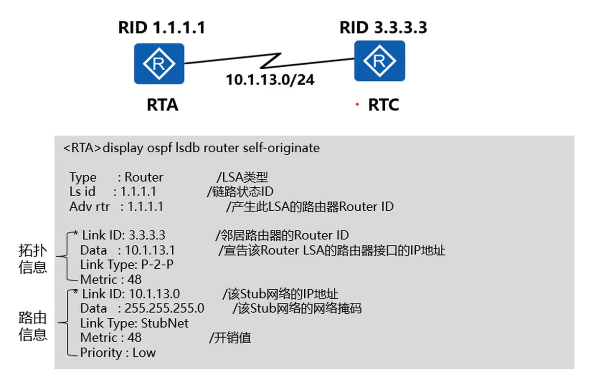 1.2.1 Router-LSA_router lsa-CSDN博客