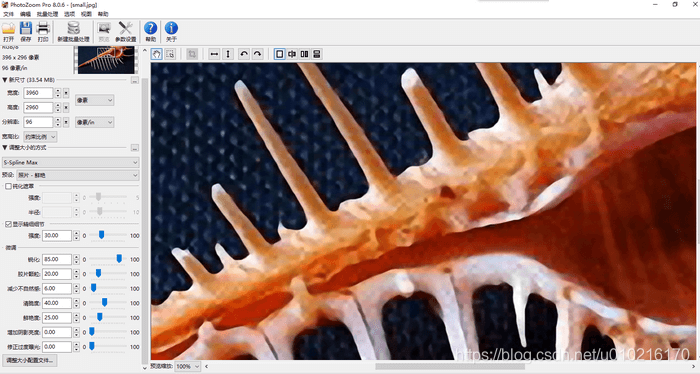 图5:PhotoZoom放大图像