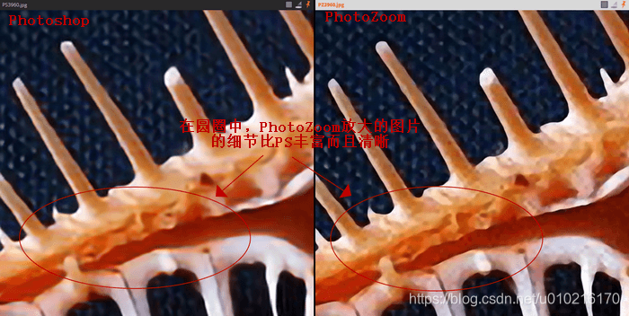 图7:图像细节比较