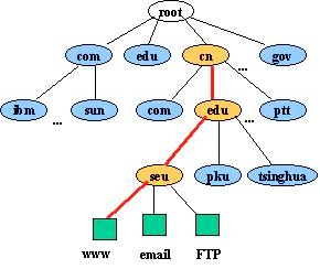域名的树结构