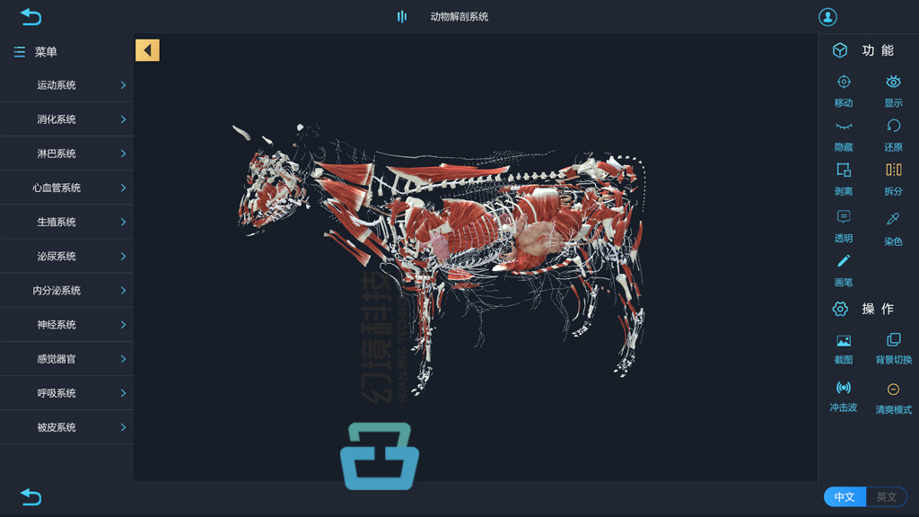 Vr虚拟动物解剖教学软件vr兽医实验室 河南幻境科技 程序员宝宝 莱医特动物解剖软件 程序员宝宝