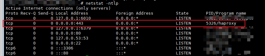 netstat