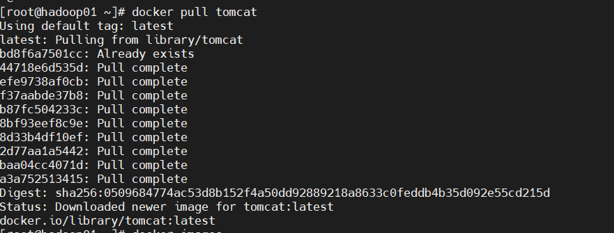 docker-tomcat-web