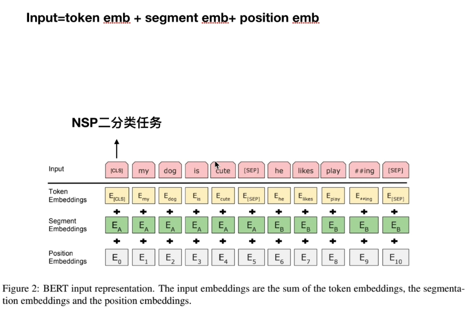 BERT 的INPUT