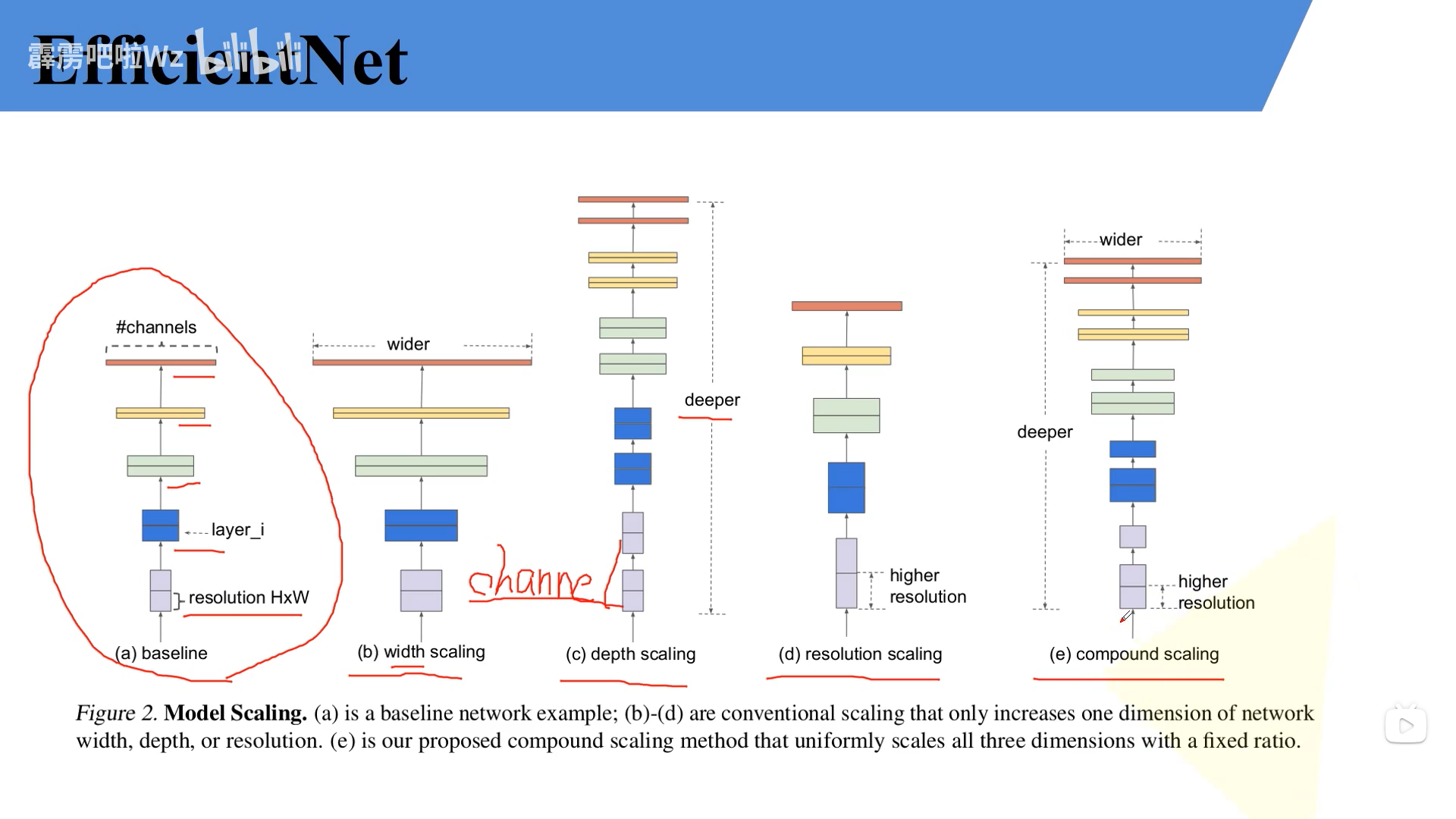 9.1 EfficientNet网络详解和9.2使用Pytorch搭建EfficientNet网络-CSDN博客