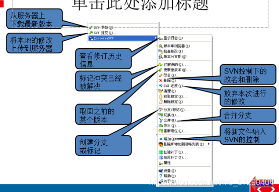 小扎扎学测试笔记打卡-缺陷报告、svn