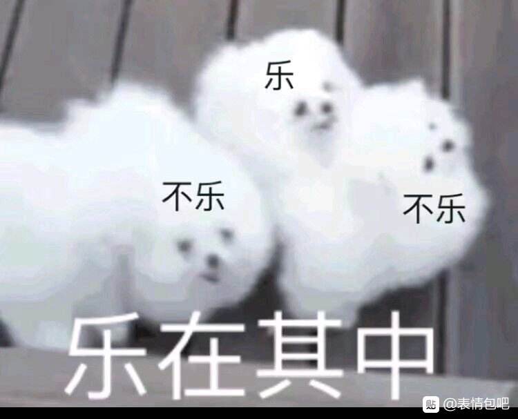 乐在其中