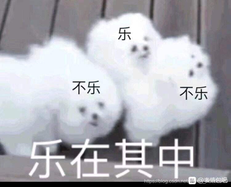 乐在其中