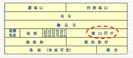 TCP报文格式