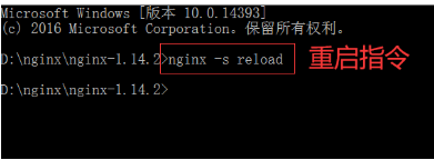 Nginx配置