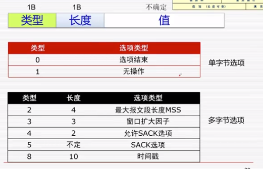 TCP首部选项