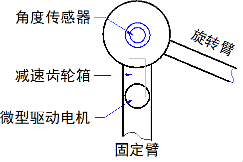 ▲ 肘关节示意图