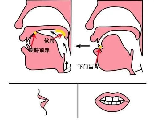 22 个韵母(一)a:发音时,嘴唇自然张大,舌放平,舌头中间微隆,声带颤动