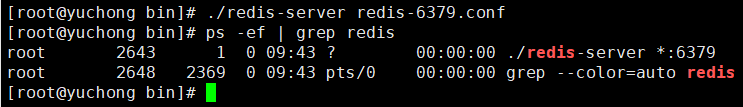 不配置rdb启动Redis