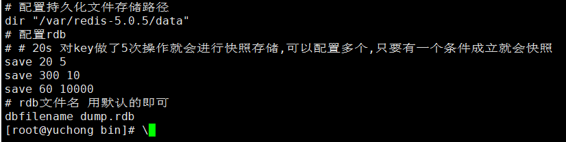 配置文件配置rdb