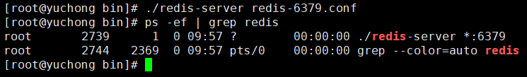 启动Redis