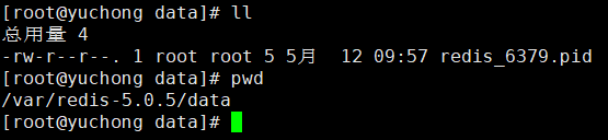 看一下在配置文件中配置的持久化文件存储路径下是否有rdb文件