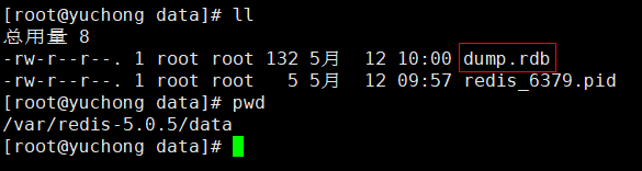 看一下在配置文件中配置的持久化文件存储路径下是否有rdb文件