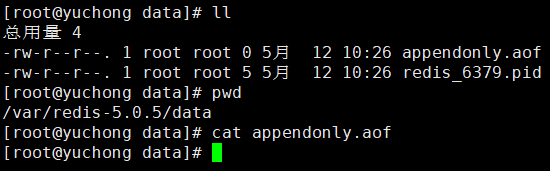 看一下在配置文件中配置的持久化文件存储路径下是否有aof文件