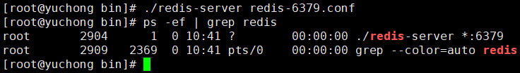 启动Redis