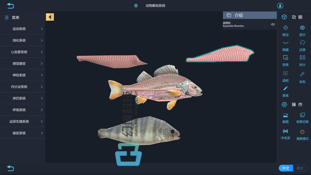 动物解剖三维仿真vr动物药学实训软件 河南幻境科技 程序员信息网 程序员信息网